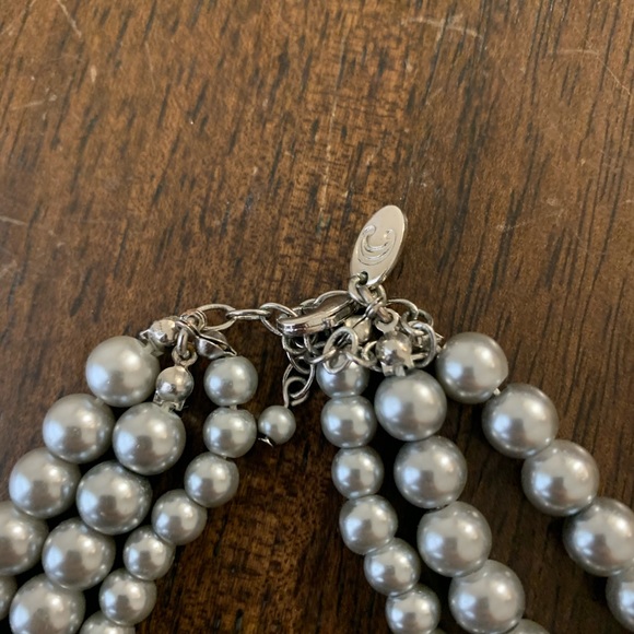 Charming Charlie Jewelry Set - Picture 5 of 5